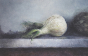Fennel Bulb